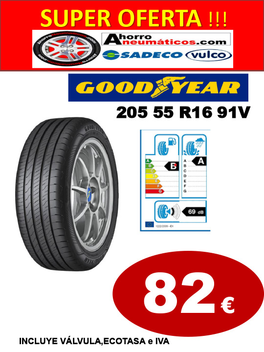 good-year-sadeco-205.55.16-91v-febrero-26-WEB